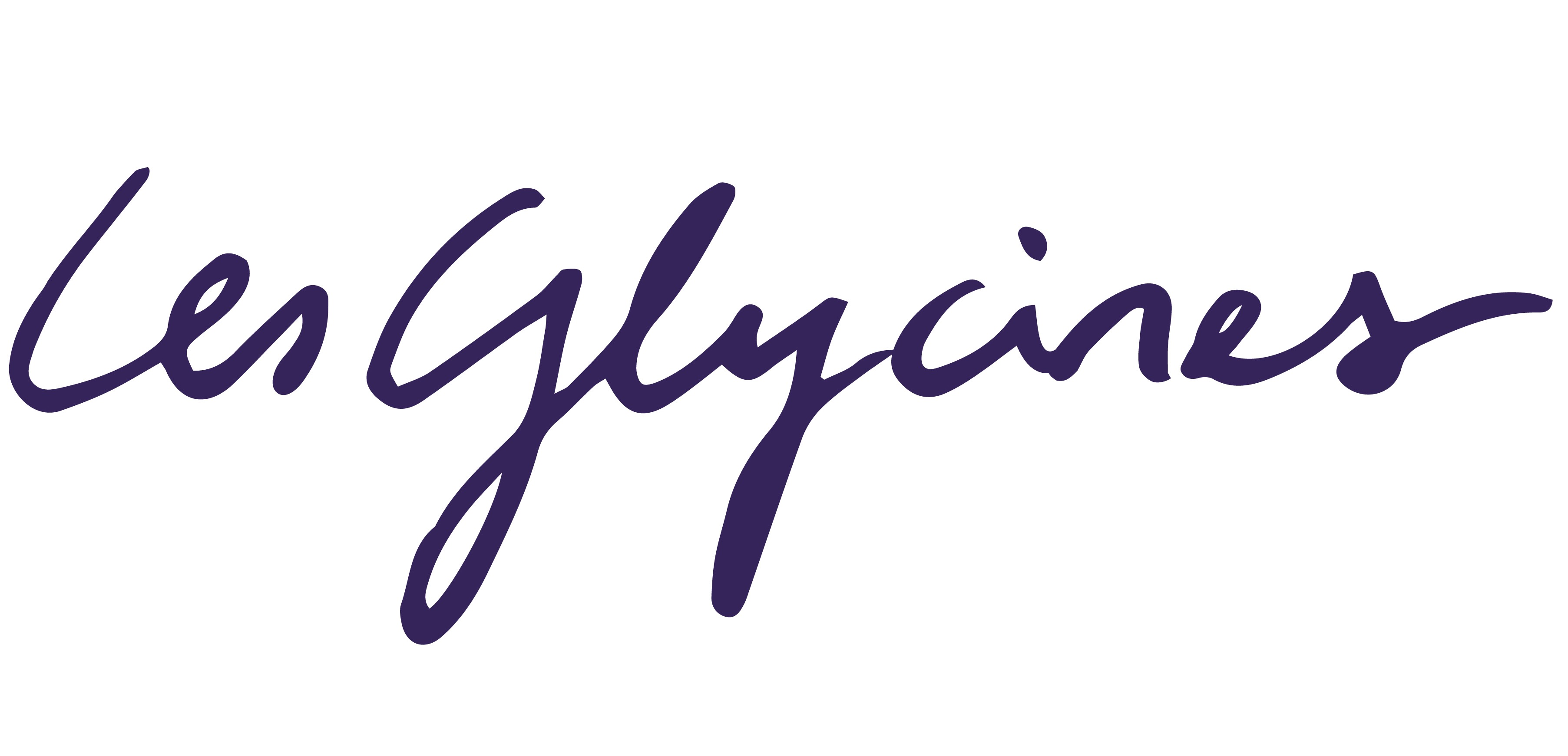logo hôtel les Glycines à Melle, Poitou